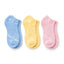 Hidden Fancy No Show Sock Colored Pack
