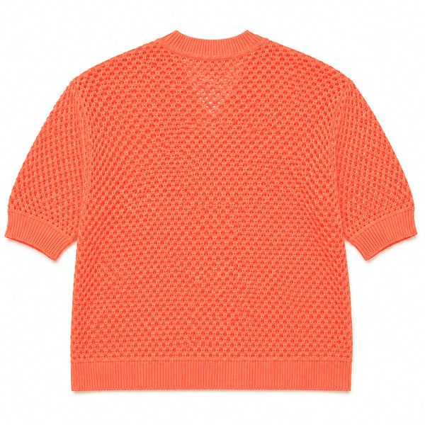 Sheer Edge Knit Pullover in Neons